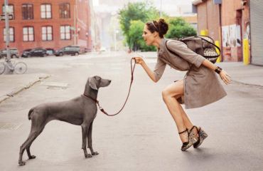 Дамы с собачками: яркие фото моделей с животными