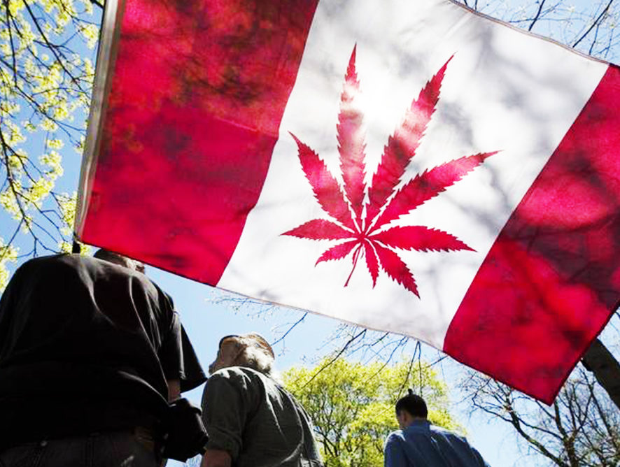 В Канаде легализовали марихуану: топ-5 фактов о неординарном решении