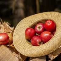 Яблочный Спас 2020: обряды и традиции праздника