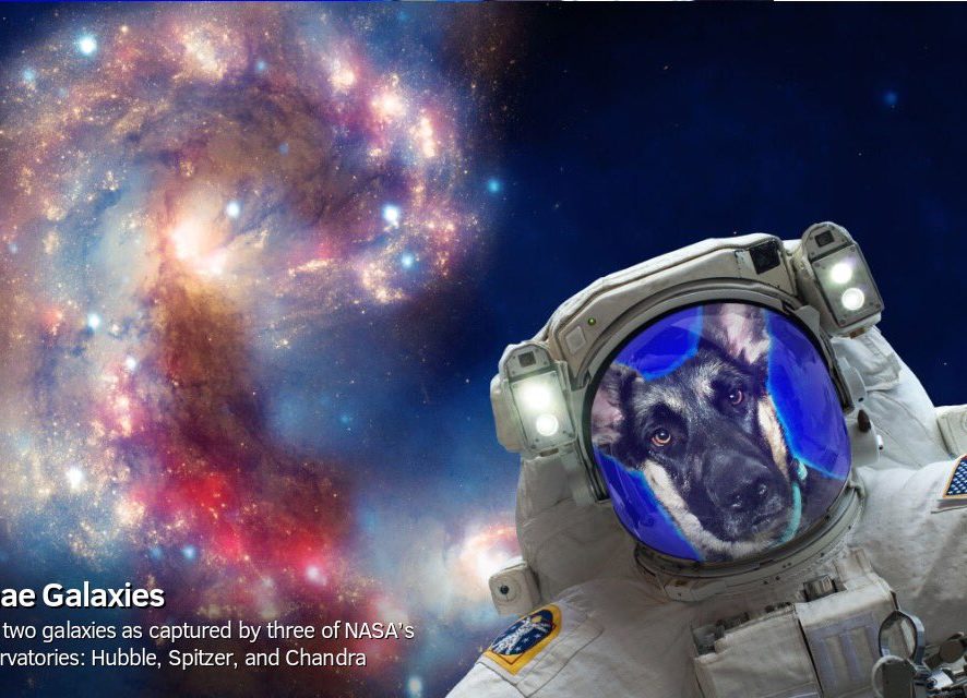 Космическое селфи: NASA выпустило специальное приложение
