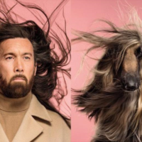 Как две капли: фотограф запечатлел невероятное сходство людей и собак