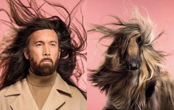 Как две капли: фотограф запечатлел невероятное сходство людей и собак