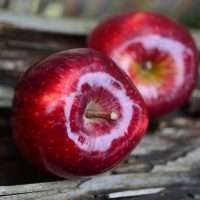 Диетолог назвала топ-3 неизвестных факта о яблоках