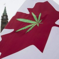 В Канаде полностью легализовали марихуану