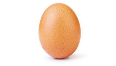 Тайна яйца раскрыта: владельцем рейтинговой Instagram-страницы оказался интернет-магазин