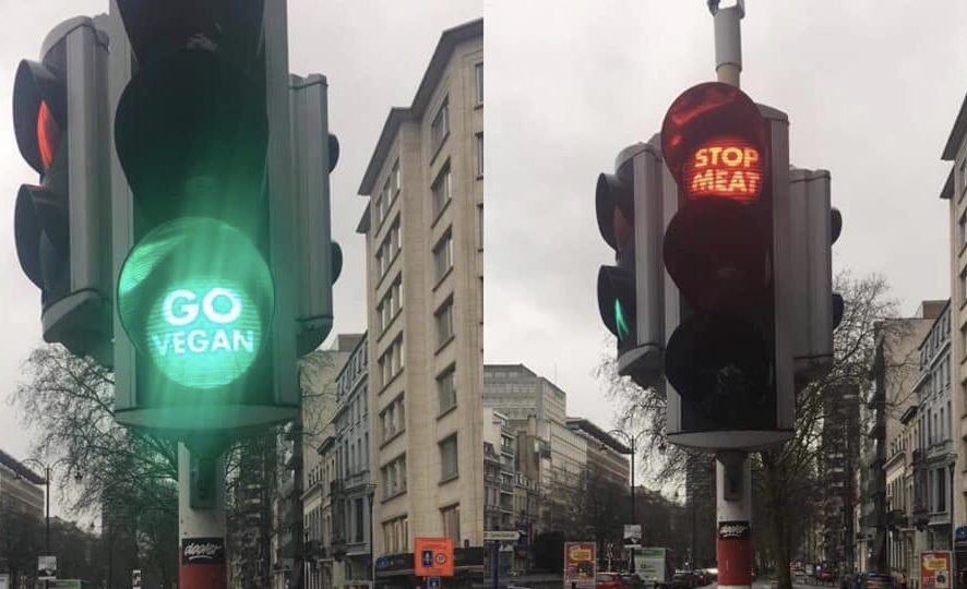 Бельгийские светофоры призывают людей переходить на веганство