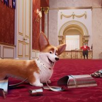 “Королевский корги”: топ-5 причин посмотреть мультфильм о собаке Ее величества
