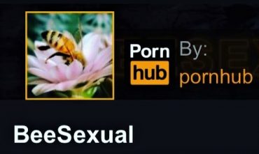 PornHub в благотворительных целях запустил канал с пчелиным порно