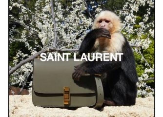 Обезьянка Алли стала звездой рекламной кампании Saint Laurent