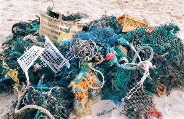 Украина присоединится к международной пляжной уборке