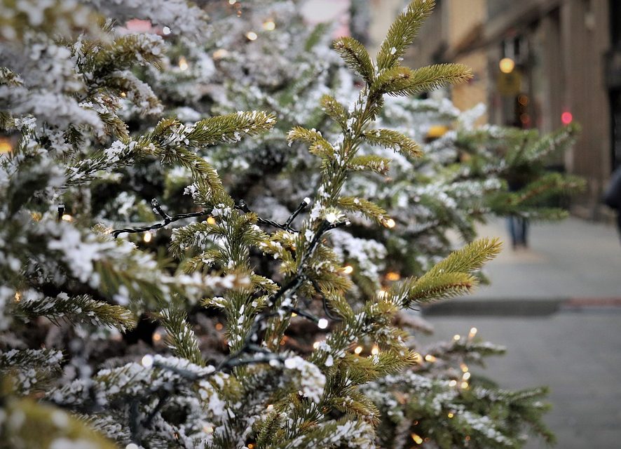 Новогодняя елка в Киеве вошла в топ-5 лучших в Европе
