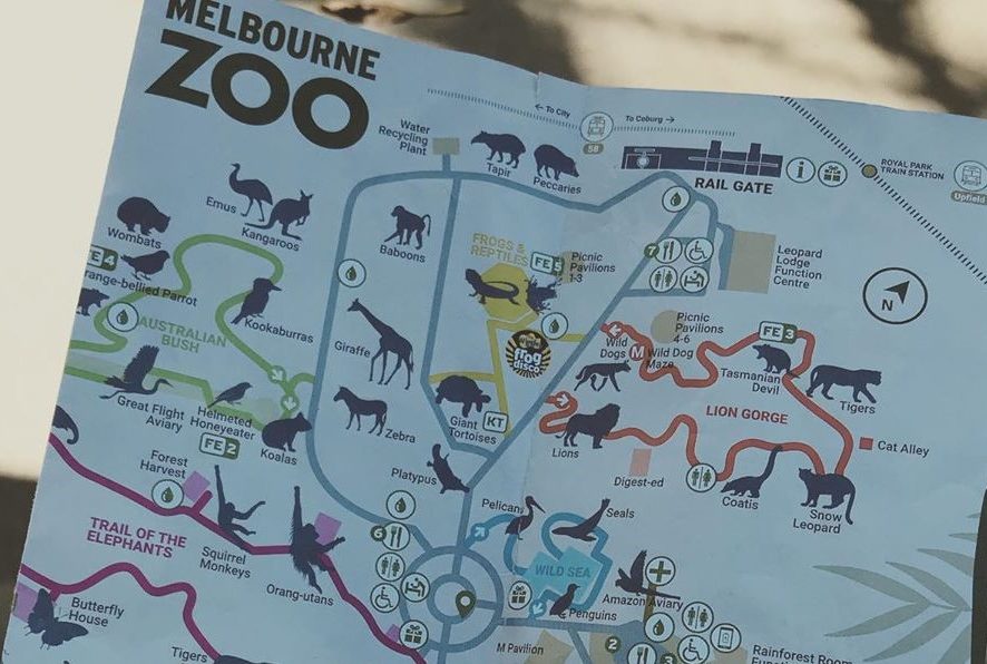Танцующий смотритель Мельбурнского зоопарка стал звездой Сети