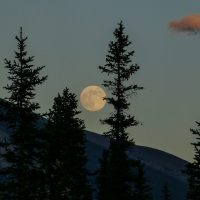 “Цветочная луна”: где и когда наблюдать уникальное явление