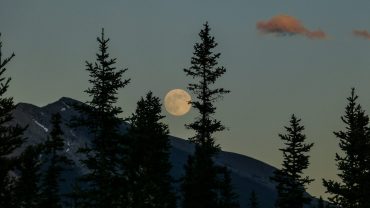 "Цветочная луна": где и когда наблюдать уникальное явление