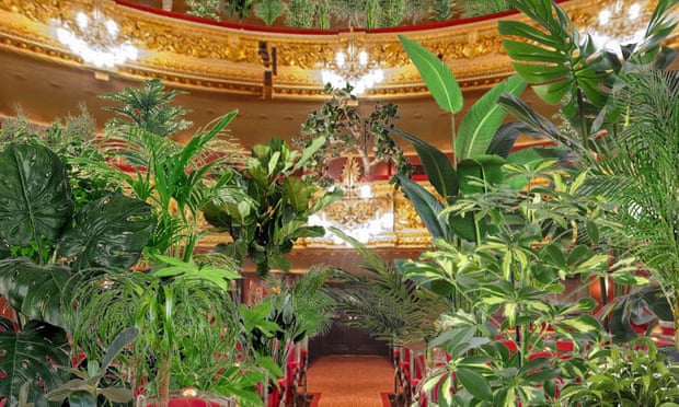 Только для растений: испанский оперный театр даст первый концерт