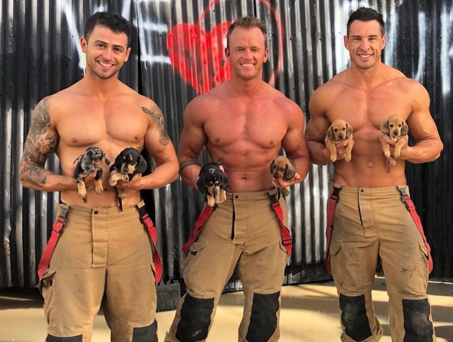 В компании коал и кенгуру: австралийские пожарные снялись для нового календаря