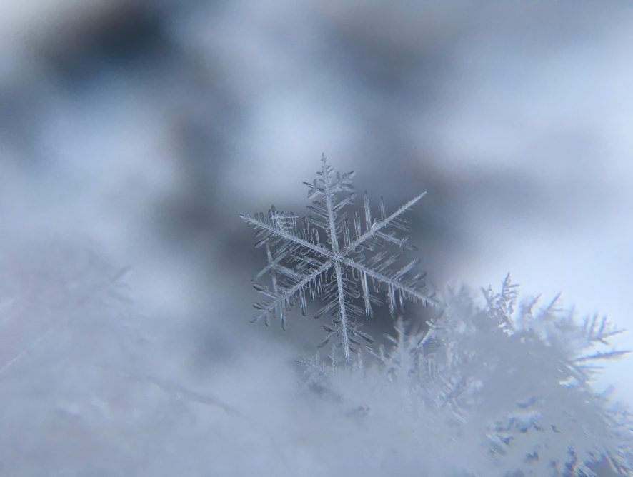 Натан Мірволд показав унікальний дизайн сніжинок за допомогою фотографії