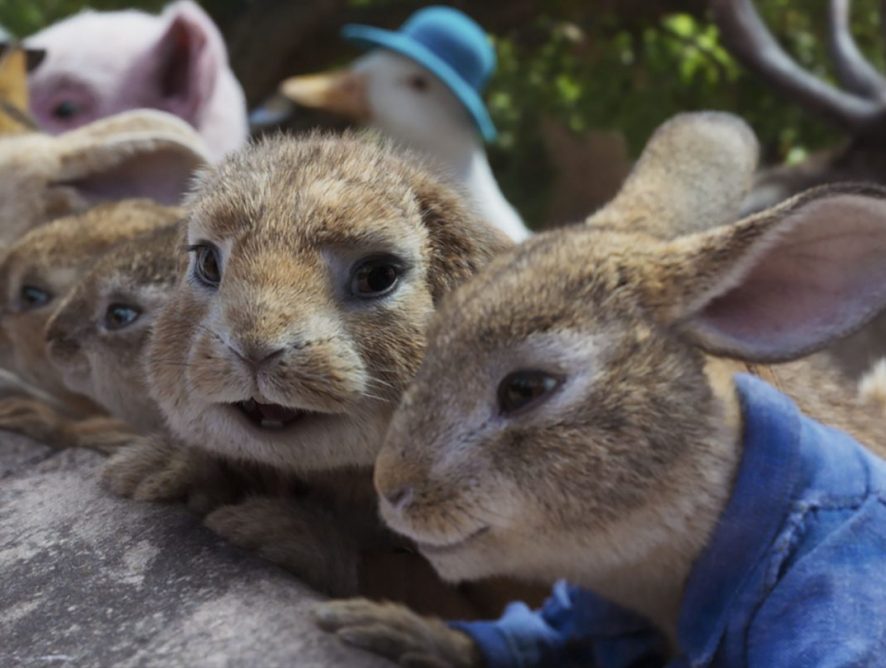 Вухаті бешкетники: вийшов фінальний трейлер пригоди "Кролик Петрик: втеча до міста"