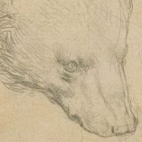 На британський аукціон виставили малюнок ведмедя авторства Леонардо да Вінчі
