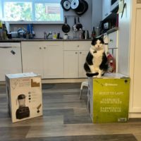 Коти окупували коробку: пара з Канади вже місяць не може скористатися новим блендером