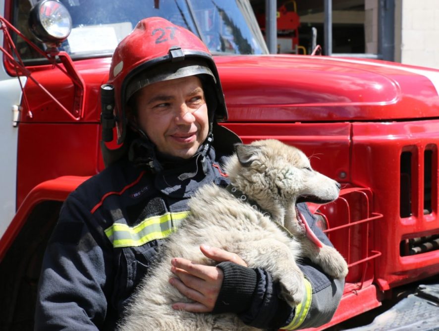 Байрактар для рятувальників: харківські пожежники прихистили врятоване цуценя