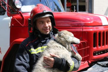 Байрактар для рятувальників: харківські пожежники прихистили врятоване цуценя